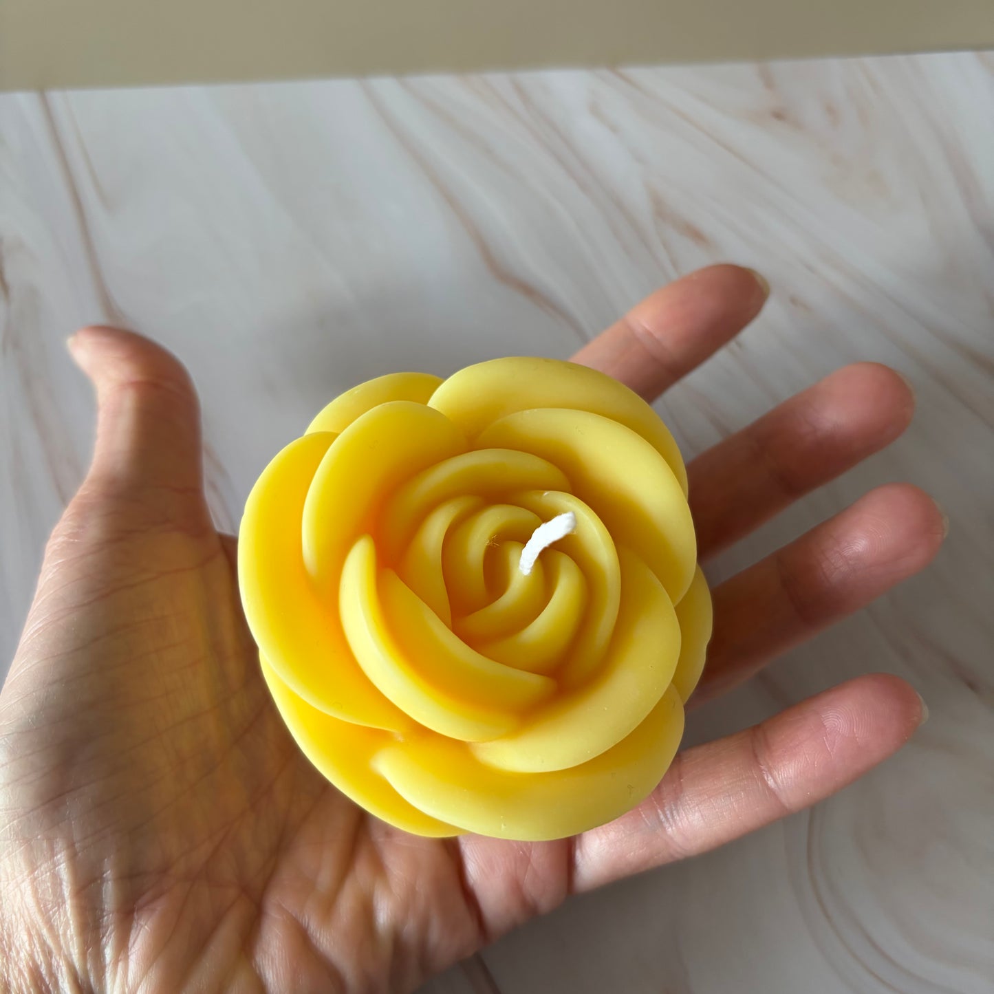 ROSA SOLE – Edizione Limitata 8 Marzo