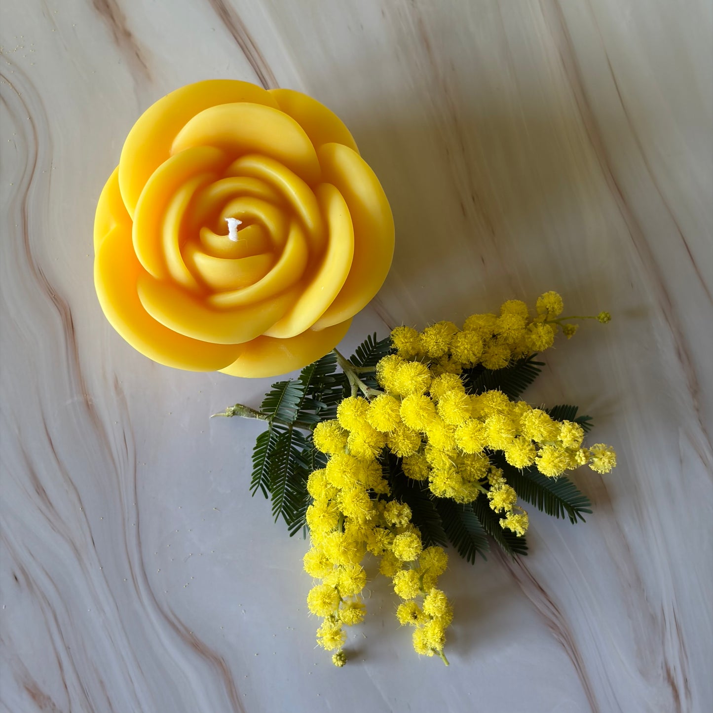 ROSA SOLE – Edizione Limitata 8 Marzo