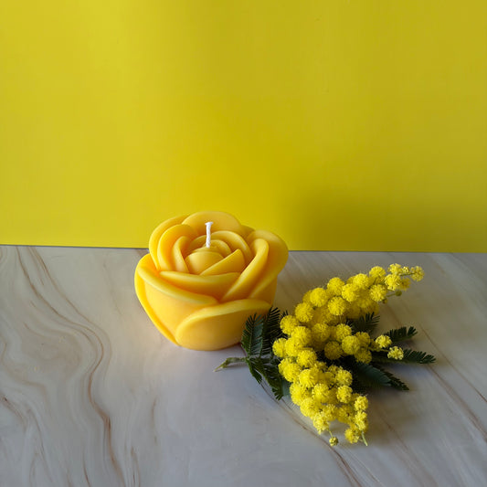 ROSA SOLE – Edizione Limitata 8 Marzo