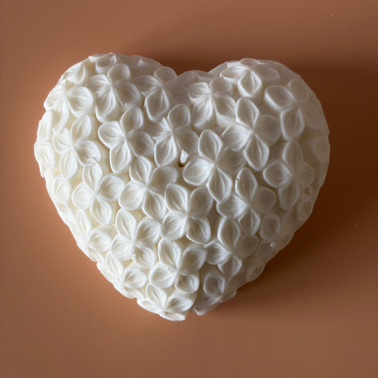 KUORE - CUORE